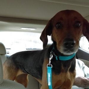 Meet your Posher, Kieara